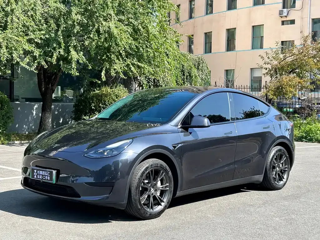 Tesla Model Y — фото 1