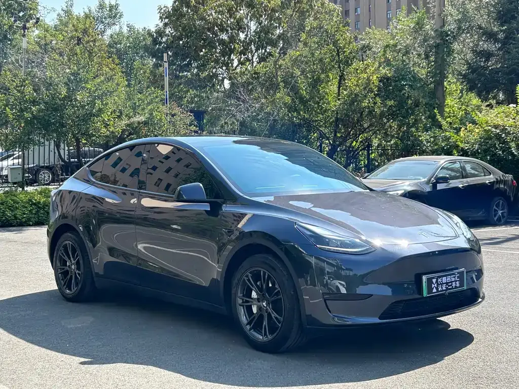 Tesla Model Y — фото 9