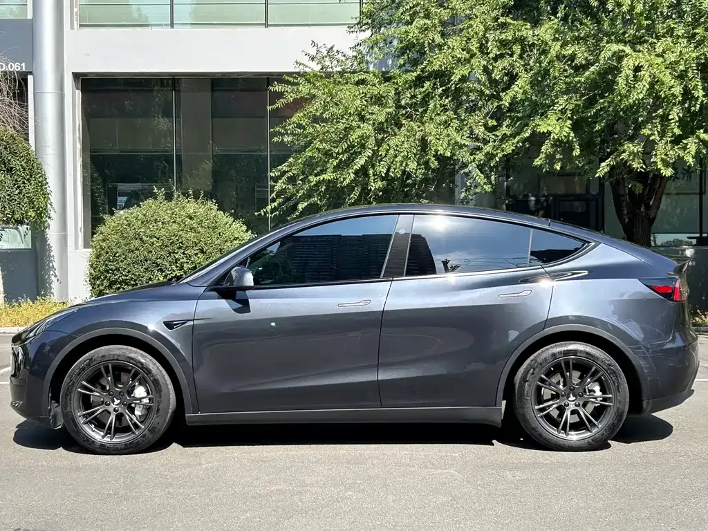 Tesla Model Y — фото 10