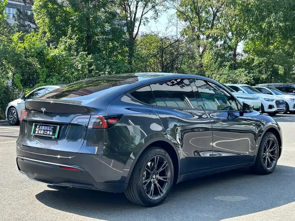 Tesla Model Y — фото 5