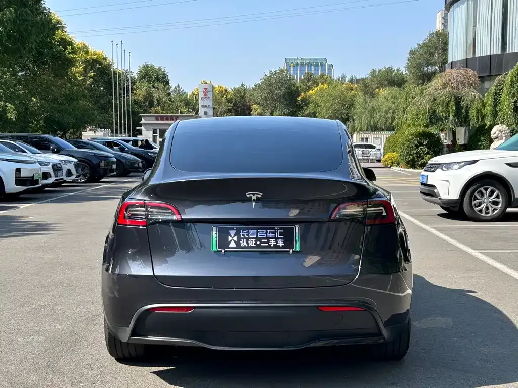 Tesla Model Y — фото 7