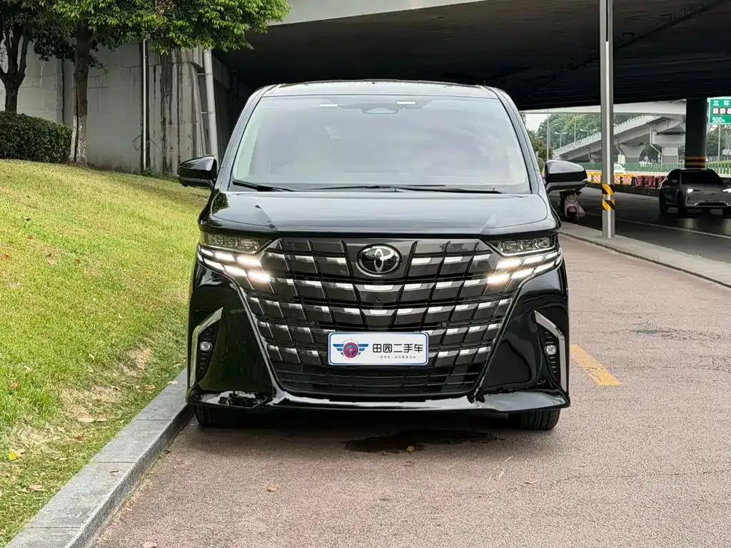Toyota Alphard — фото 10