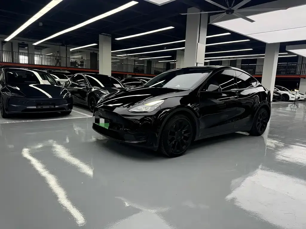 Tesla Model Y — фото 1