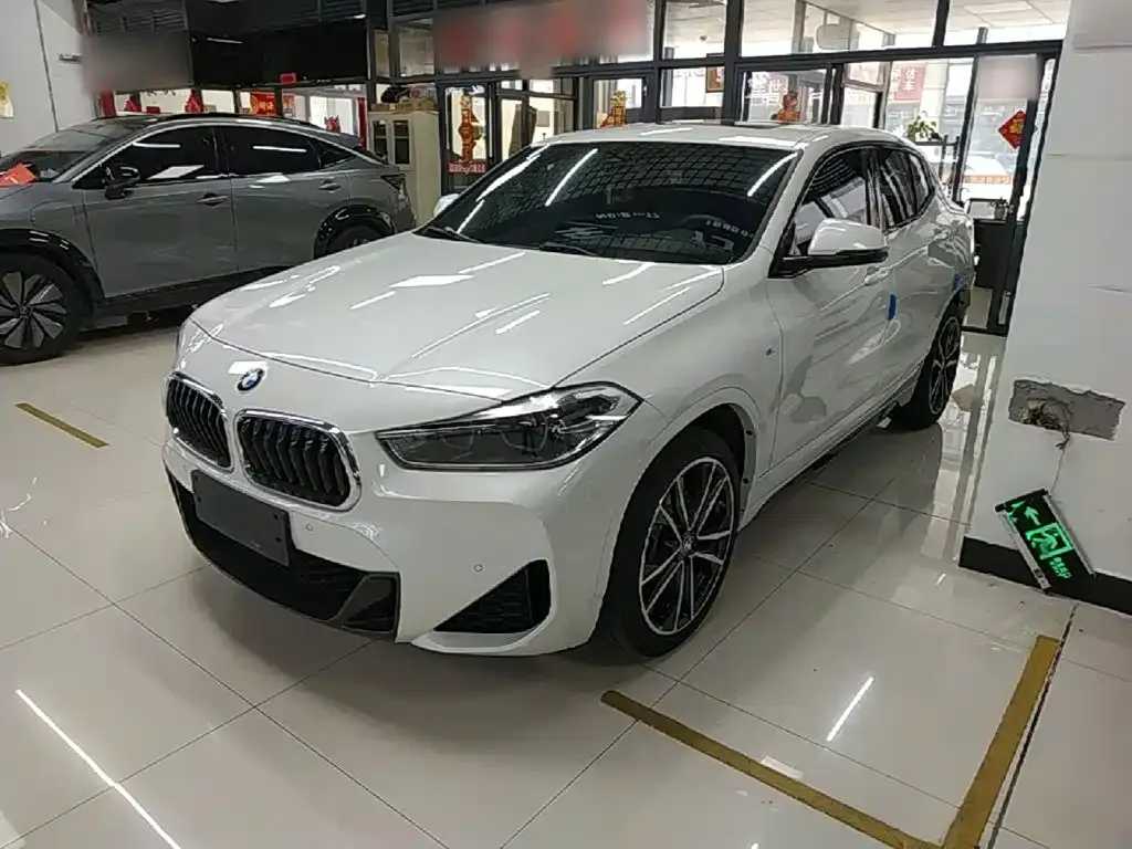 BMW X2 — фото 1