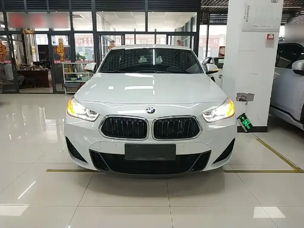 BMW X2 — фото 10