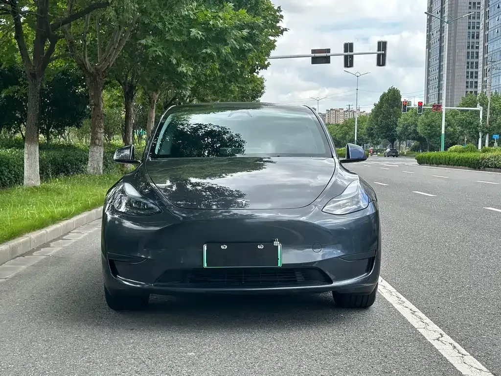 Tesla Model Y — фото 3
