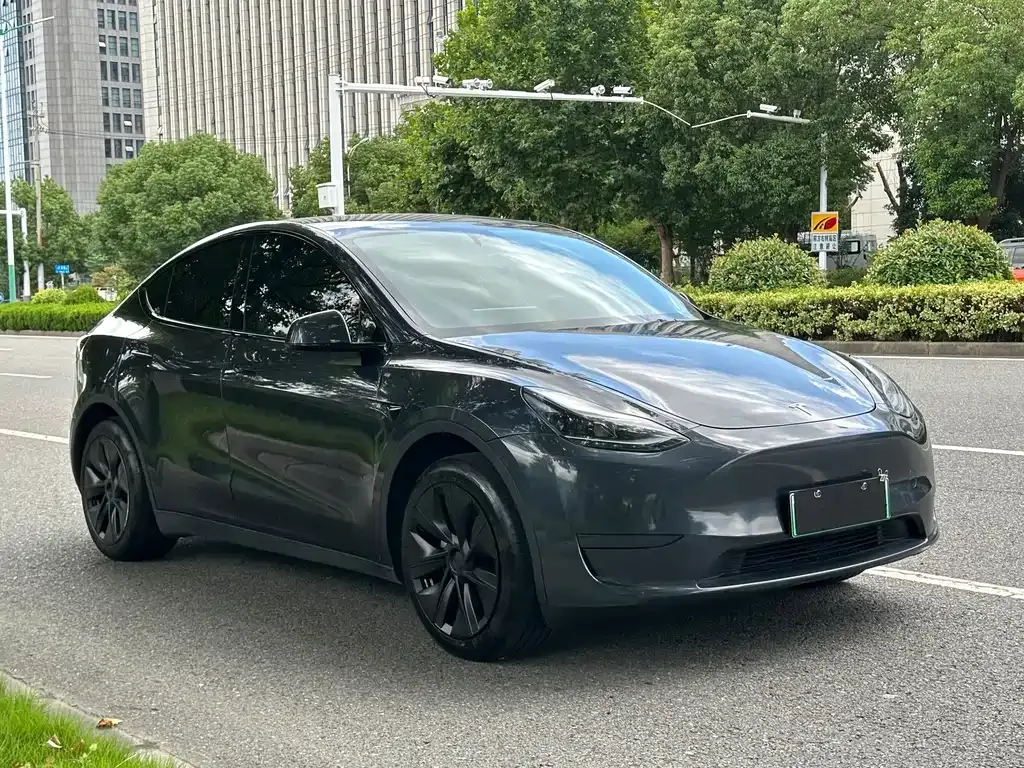 Tesla Model Y — фото 8