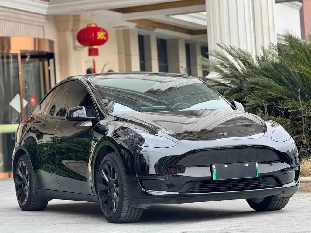Tesla Model Y — фото 5