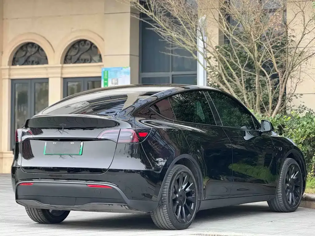 Tesla Model Y — фото 2