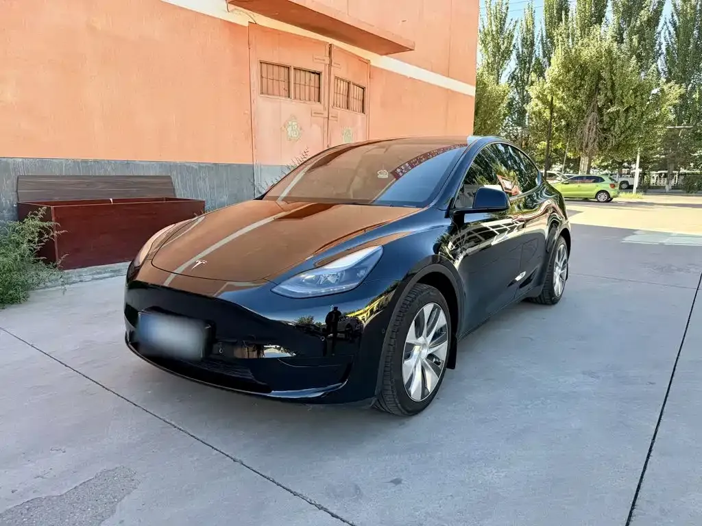 Tesla Model Y — фото 2