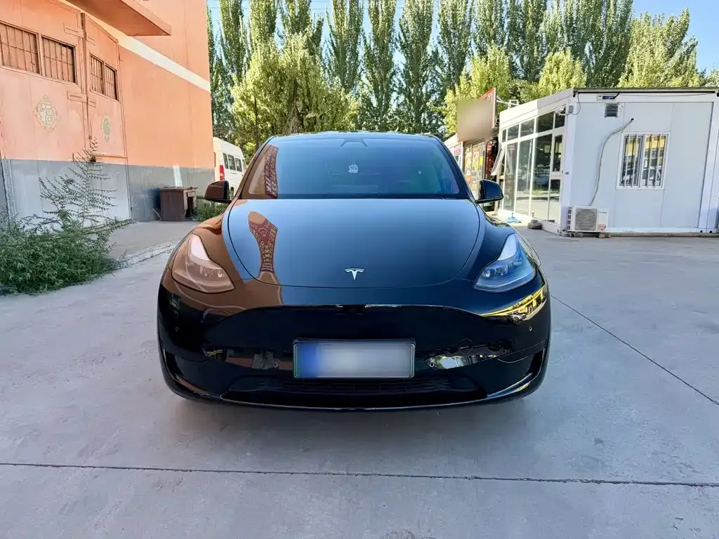 Tesla Model Y — фото 7