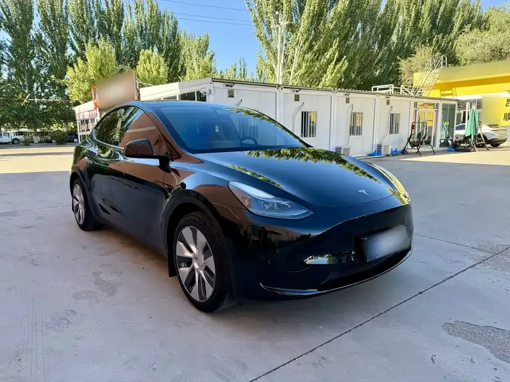 Tesla Model Y — фото 8