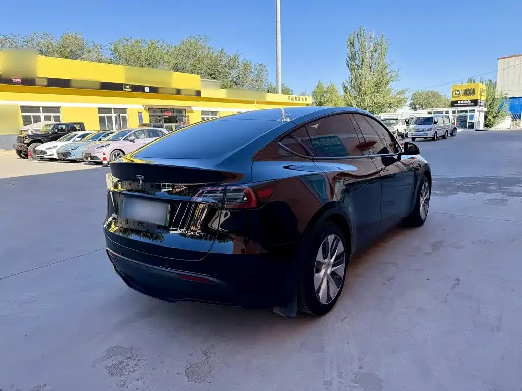 Tesla Model Y — фото 3
