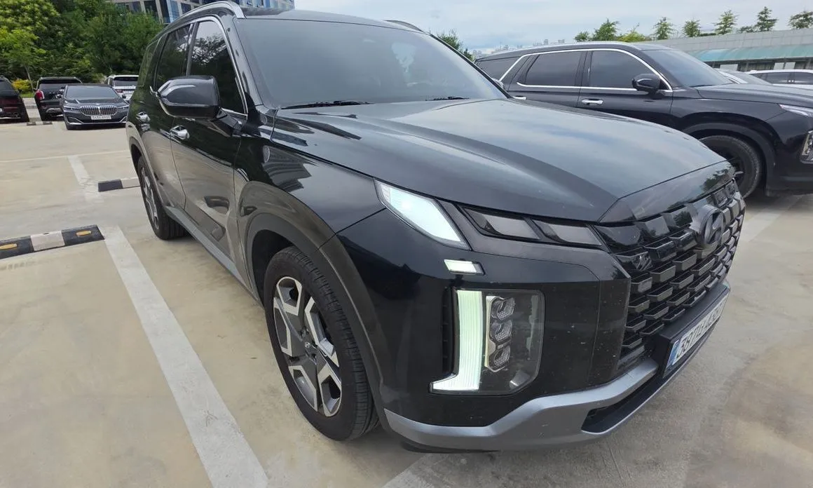 Hyundai Palisade — фото 10