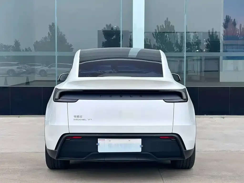 Tesla Model Y — фото 2