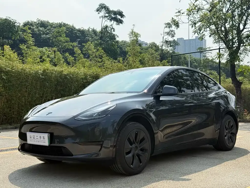 Tesla Model Y — фото 1