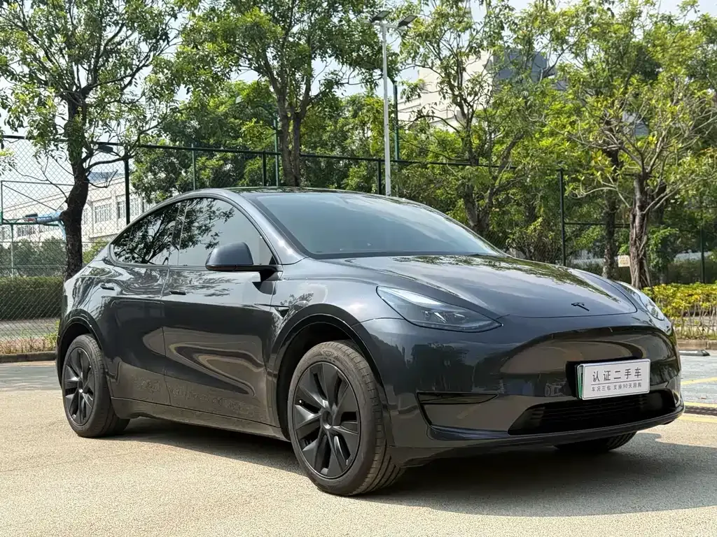 Tesla Model Y — фото 7