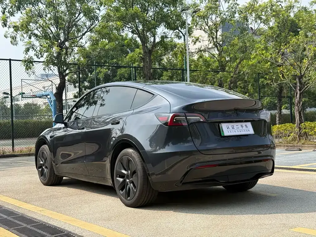 Tesla Model Y — фото 10