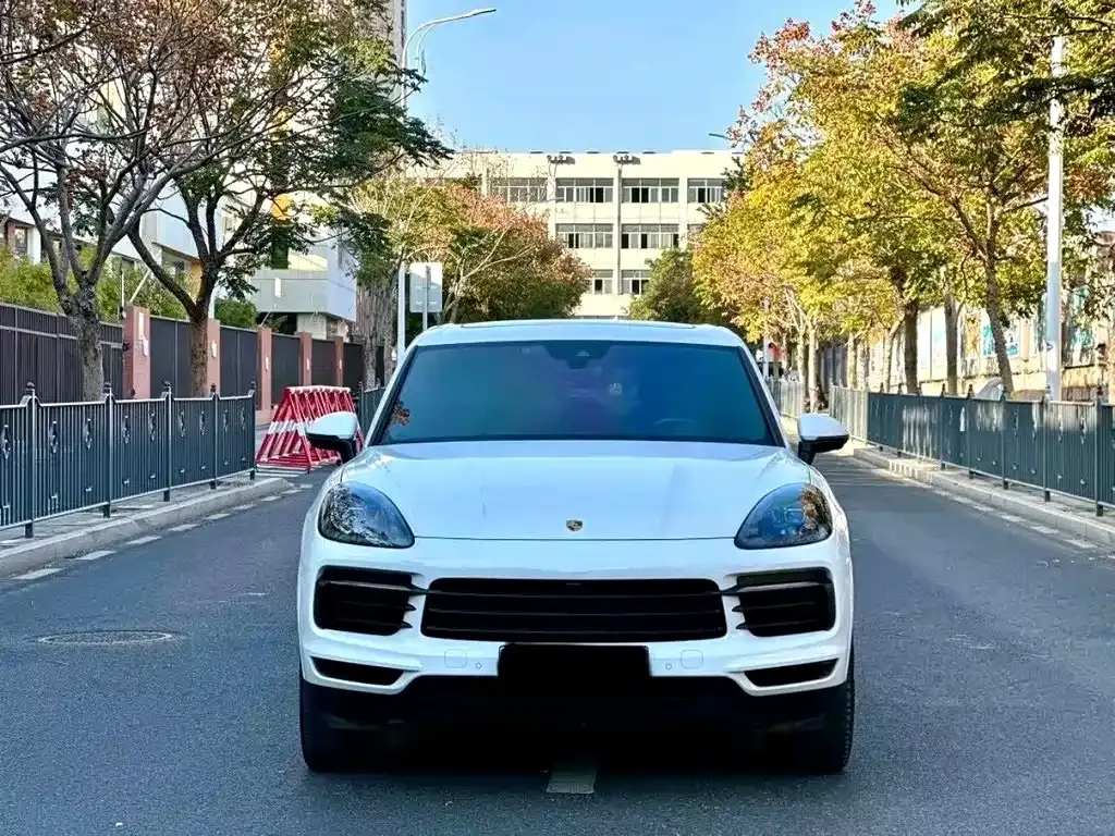 Porsche Cayenne Hybrid — фото 8
