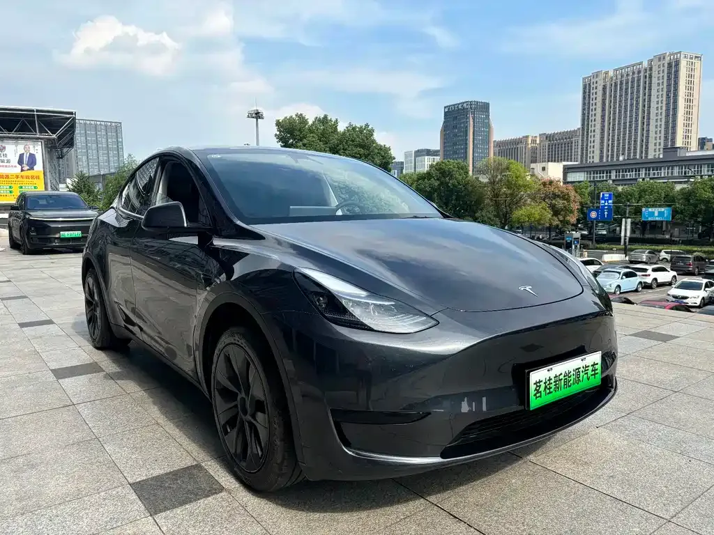 Tesla Model Y — фото 8