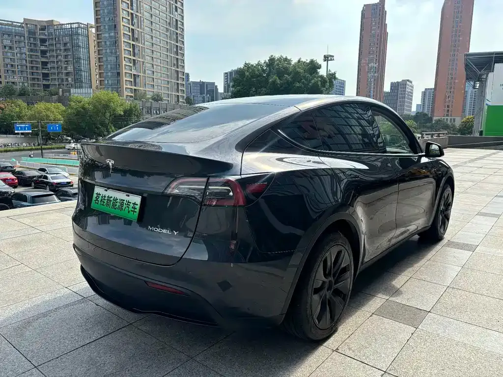 Tesla Model Y — фото 10