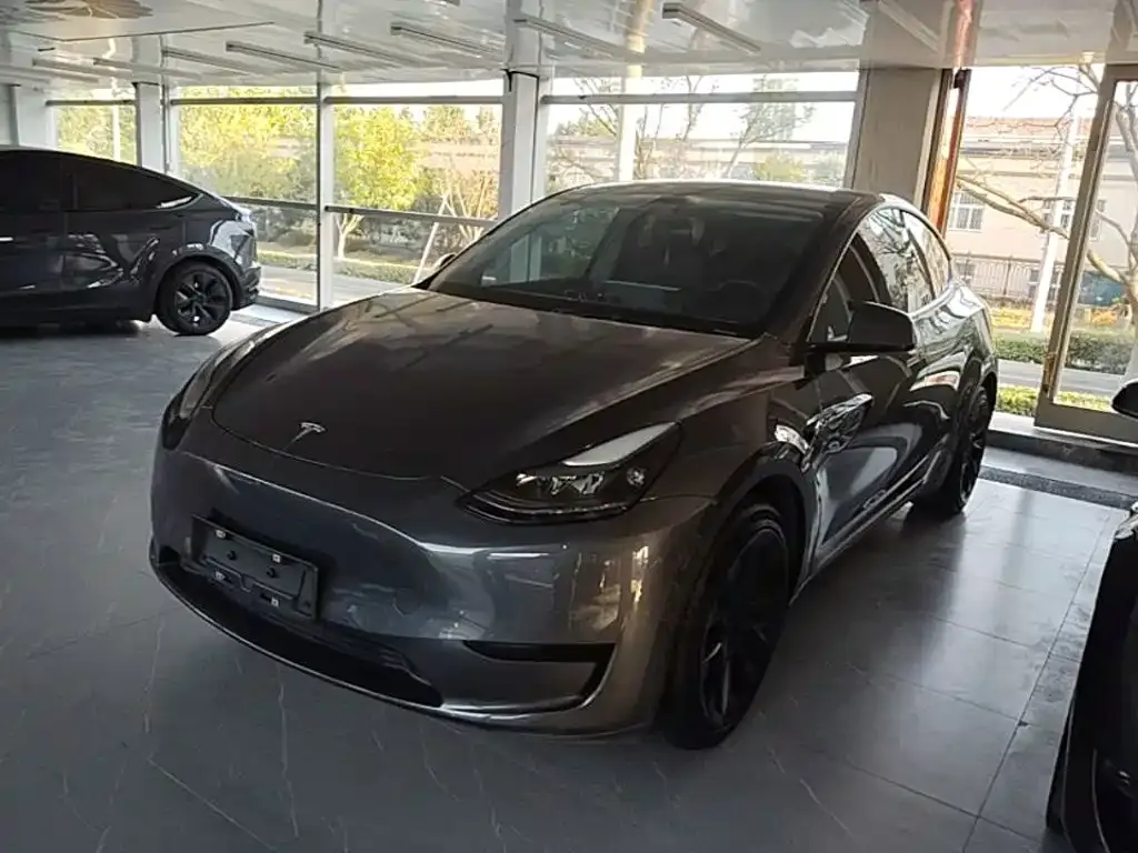 Tesla Model Y — фото 1