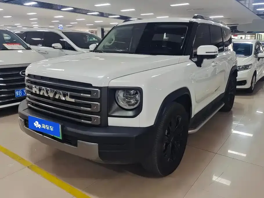 Haval Menglong New Energy — фото 1