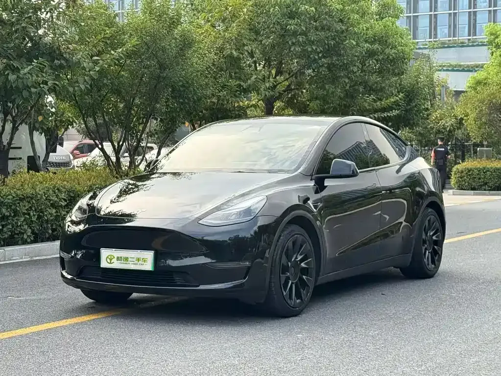 Tesla Model Y — фото 1