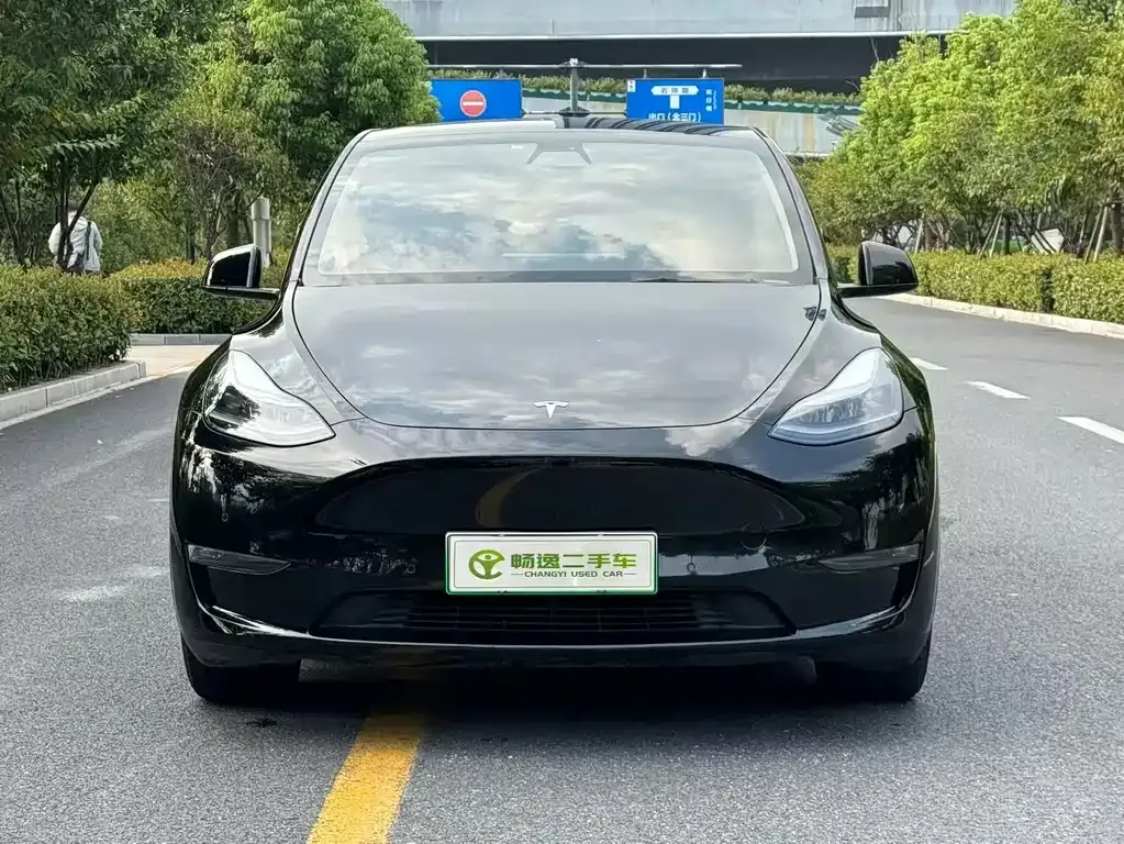 Tesla Model Y — фото 5