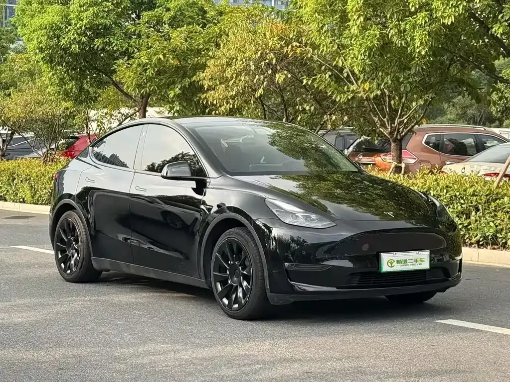 Tesla Model Y — фото 6