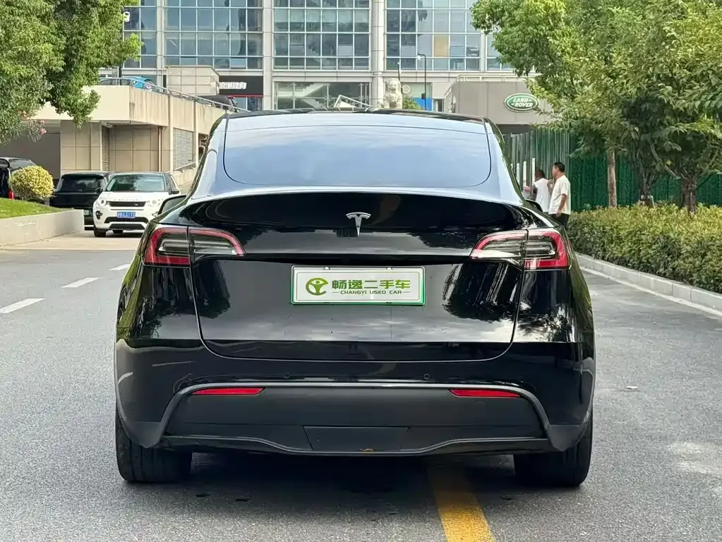 Tesla Model Y — фото 2