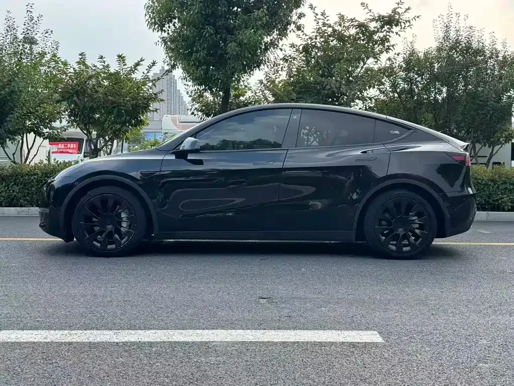 Tesla Model Y — фото 10
