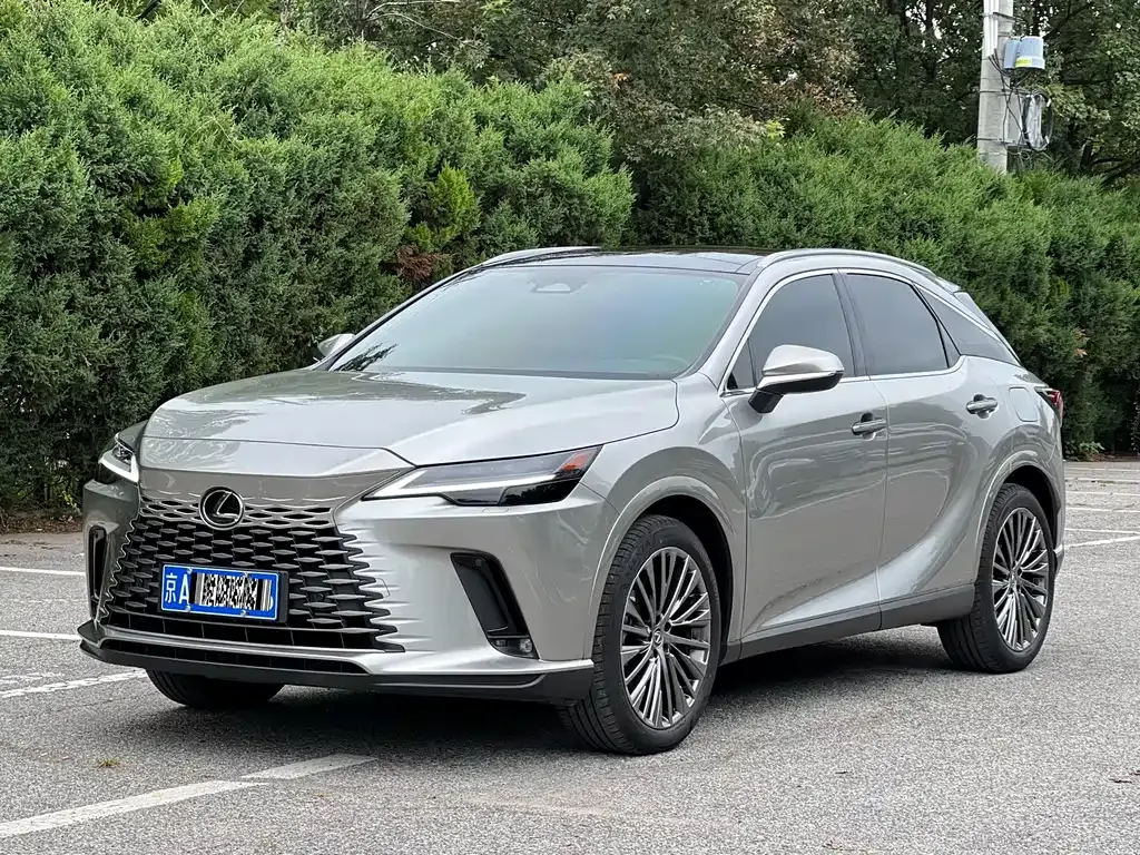 Lexus RX — фото 1