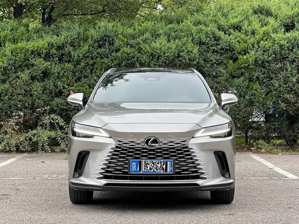 Lexus RX — фото 10