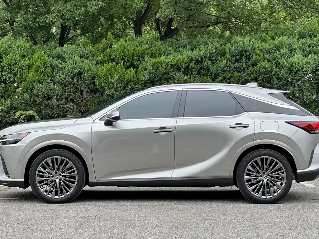 Lexus RX — фото 7