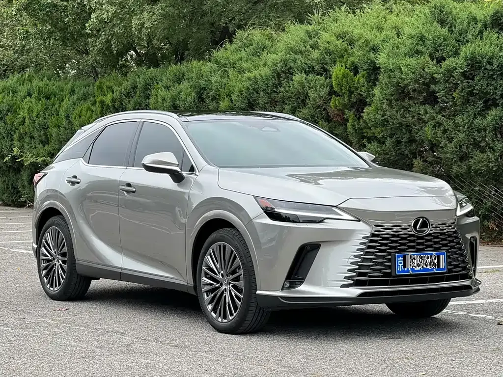 Lexus RX — фото 8