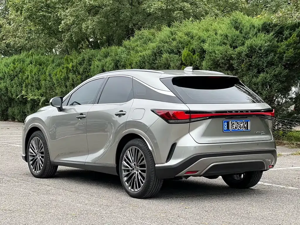 Lexus RX — фото 9