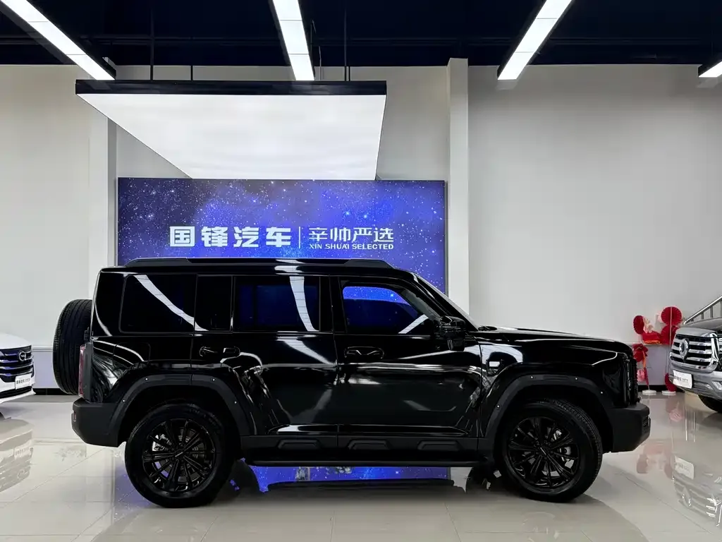 Haval Menglong New Energy — фото 2
