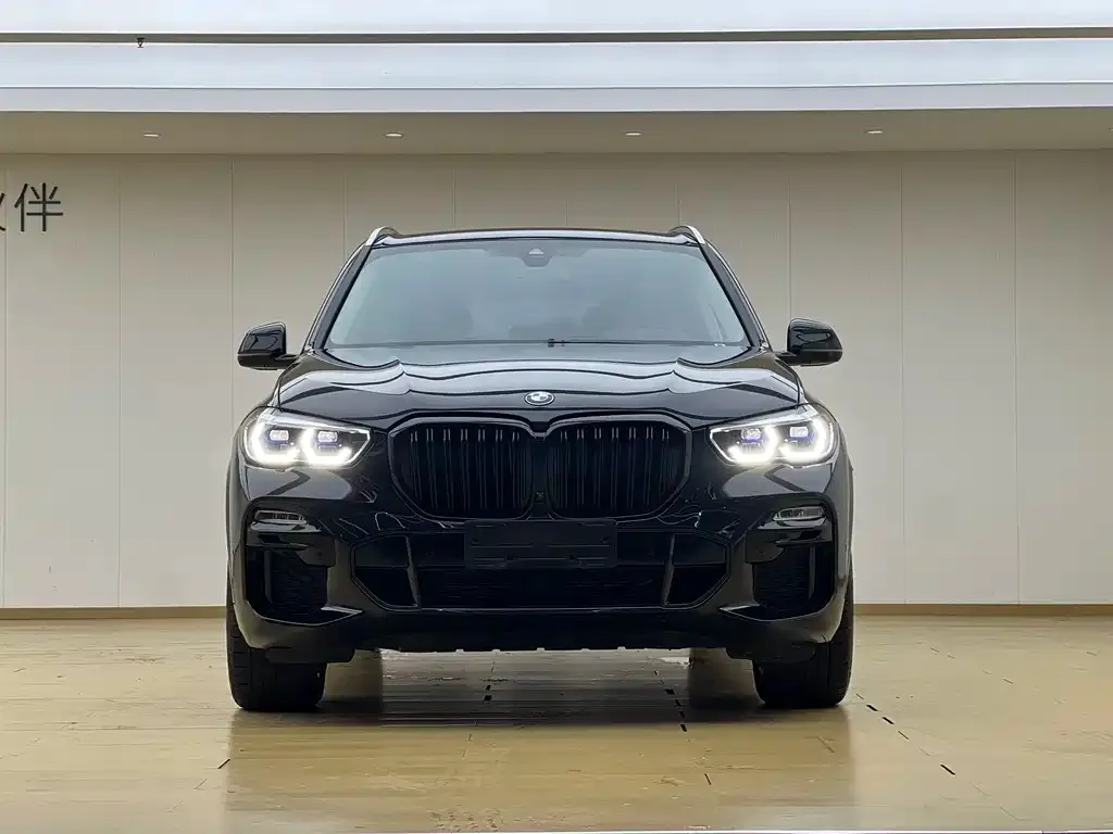 BMW X5 (Import) — фото 9