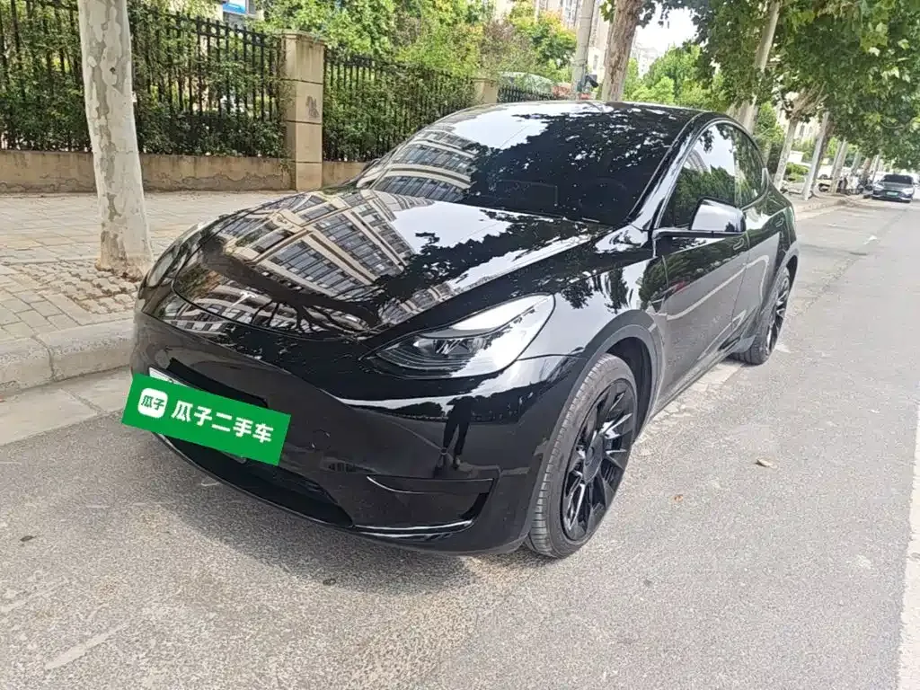 Tesla Model Y — фото 1