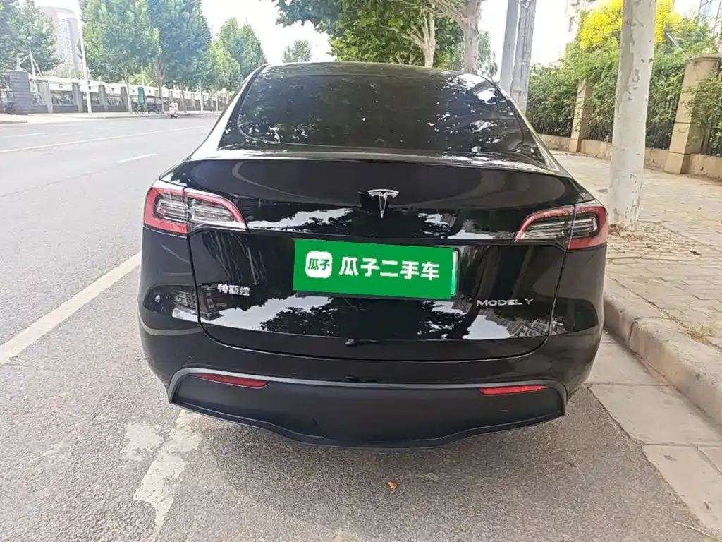 Tesla Model Y — фото 4