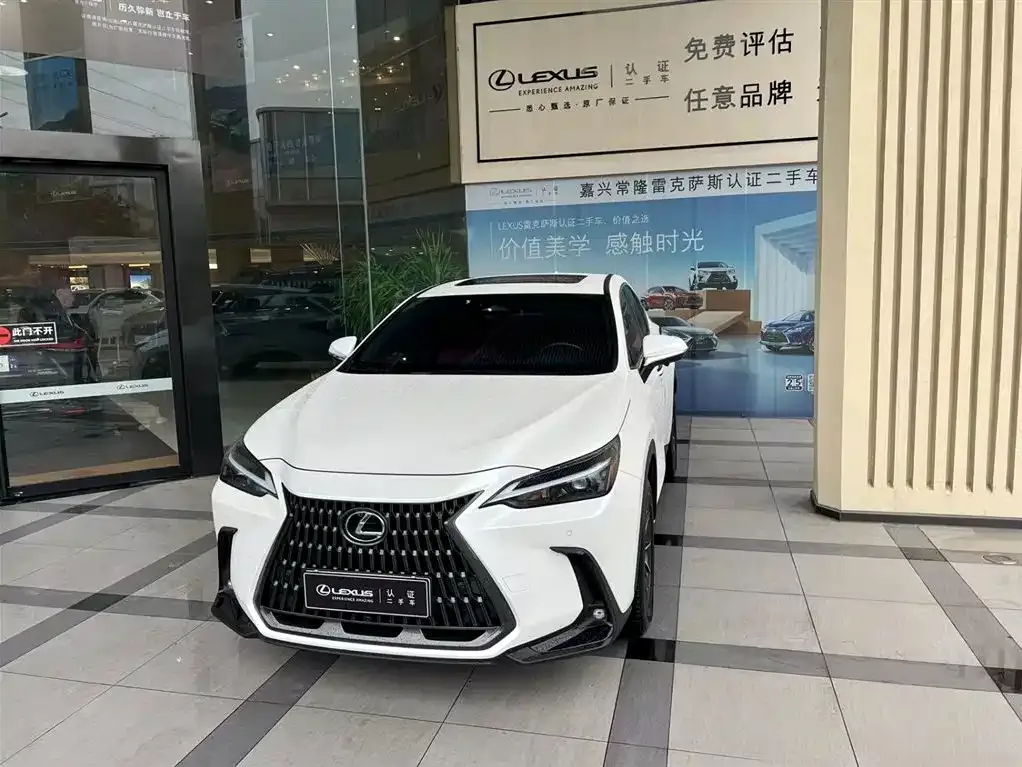 Lexus NX New Energy — фото 1
