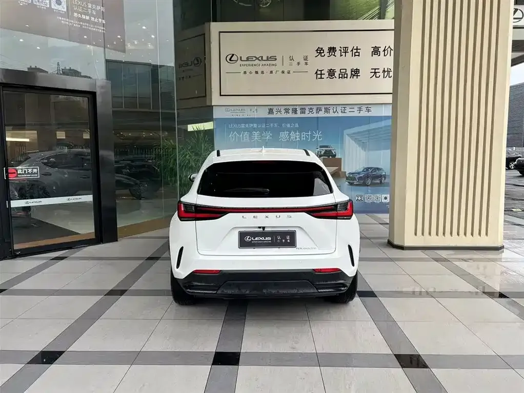 Lexus NX New Energy — фото 4