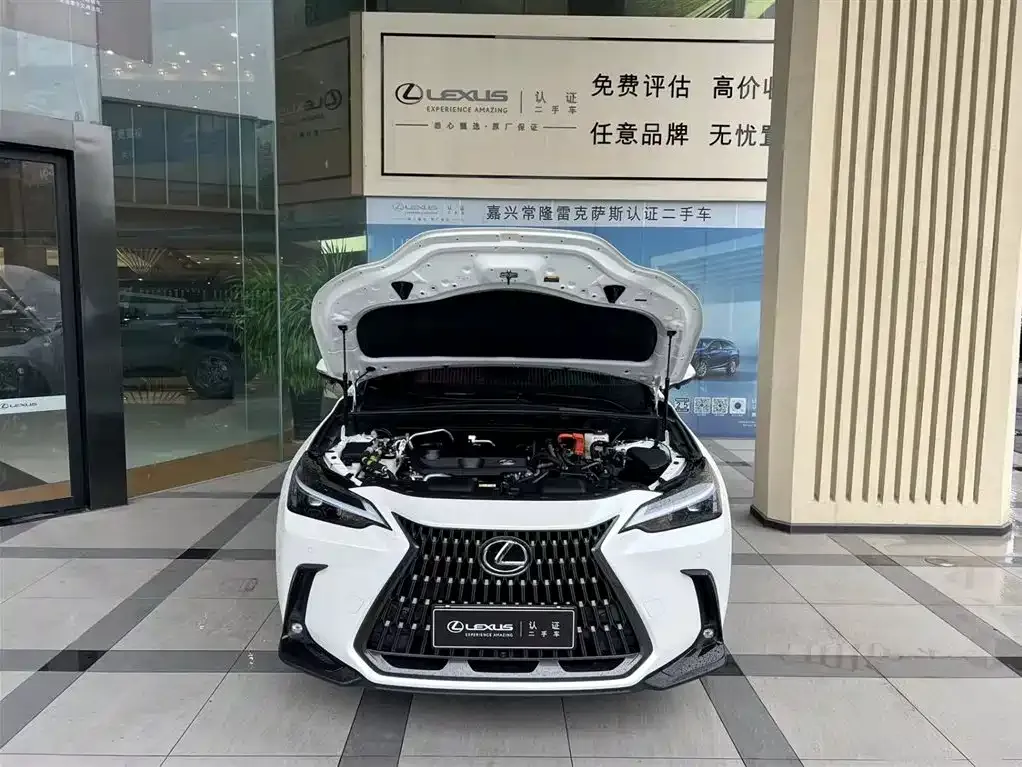 Lexus NX New Energy — фото 5