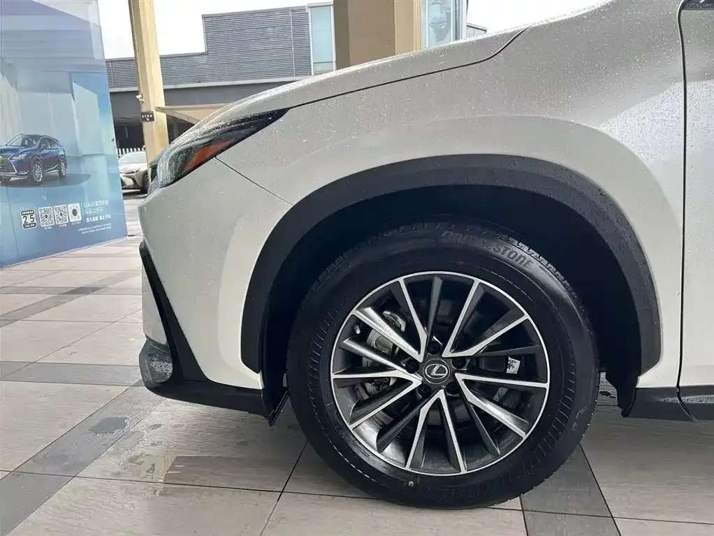 Lexus NX New Energy — фото 6