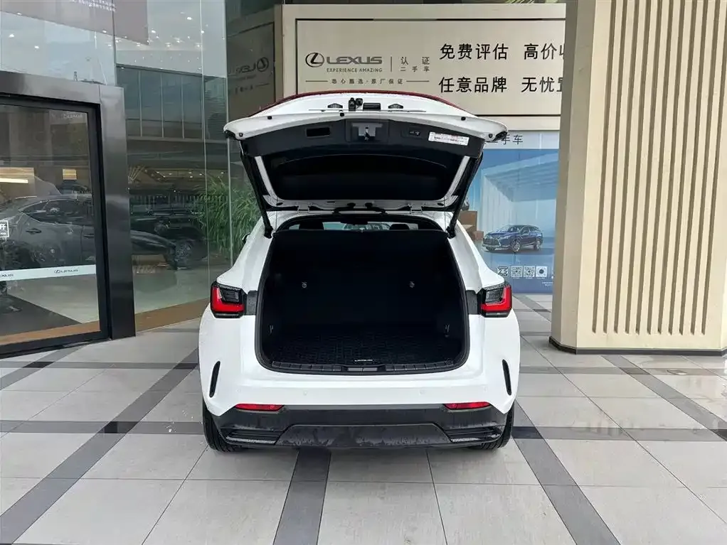 Lexus NX New Energy — фото 7