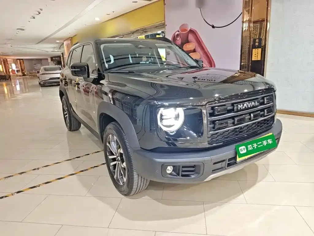 Haval Big Dog — фото 8
