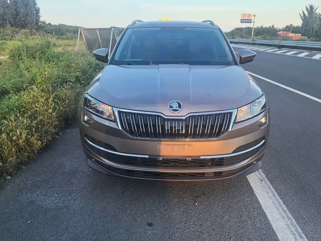 Skoda Karoq — фото 10