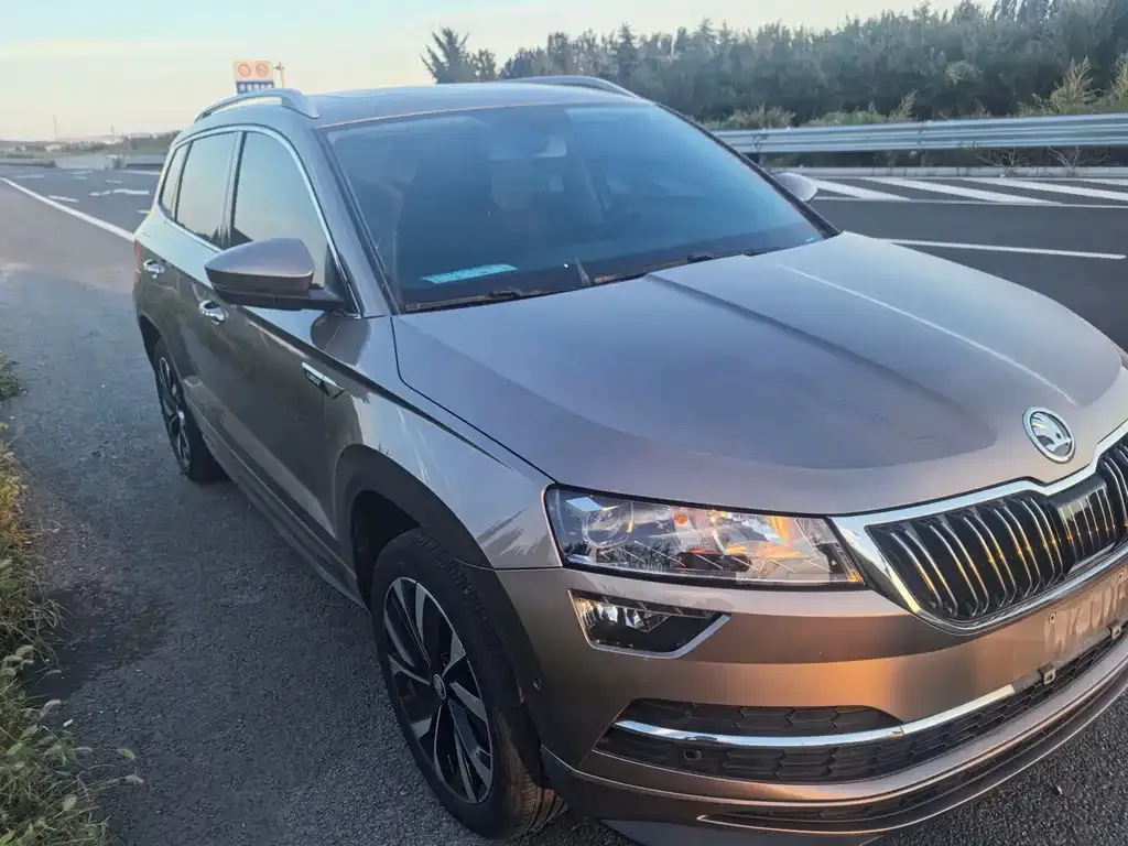 Skoda Karoq — фото 8