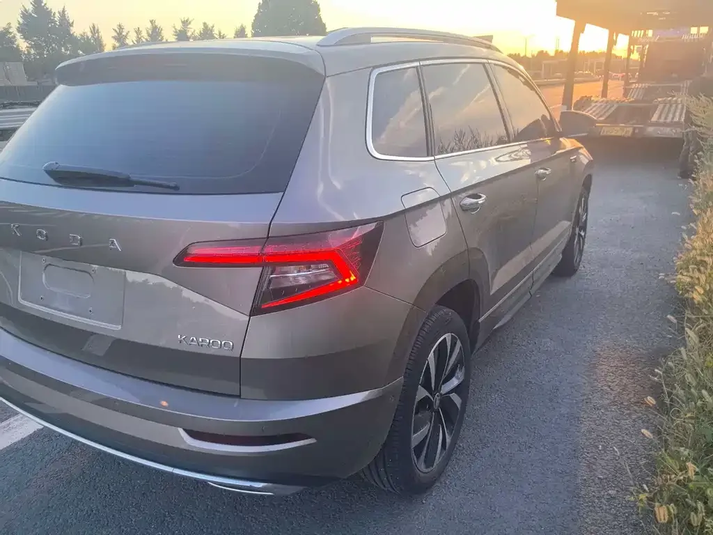 Skoda Karoq — фото 7